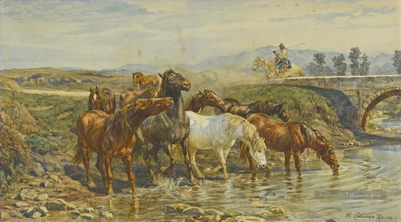 Chevaux buvant à un ruisseau Enrico Coleman genre Peintures à l'huile